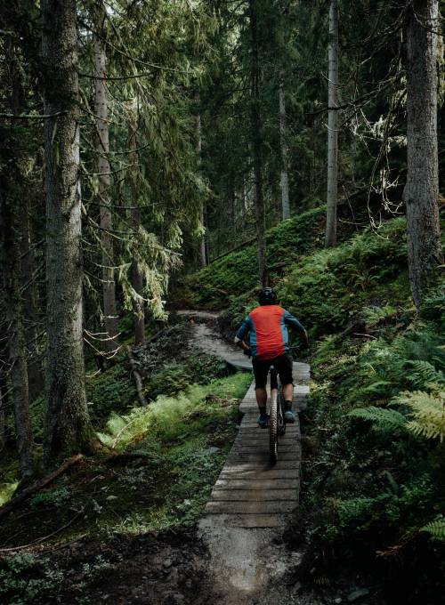 Mountainbiker im Wald in St.Johann in Salzburg
