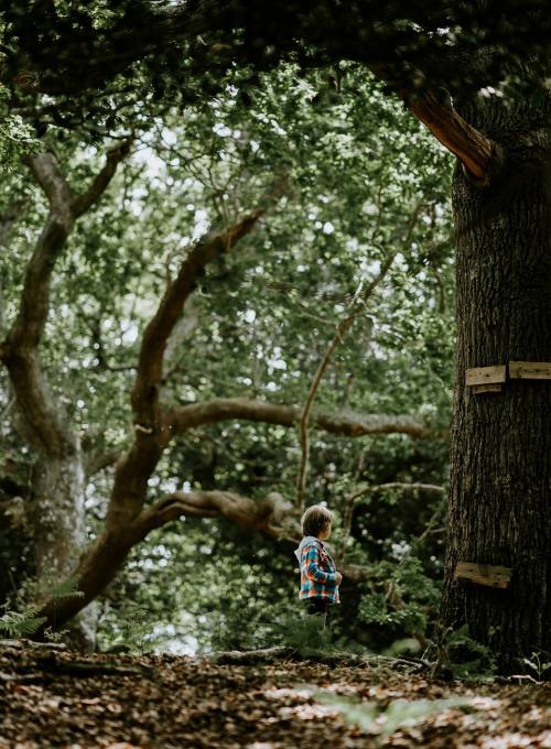 Toddler collecting chestnuts in Alpendorf, St. Johann